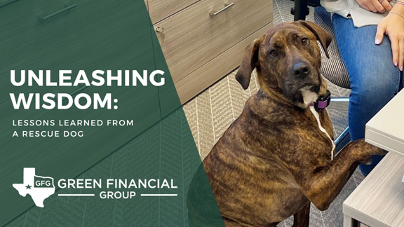 Unleashing Wisdom: Lessons Learned from a Rescue Dog